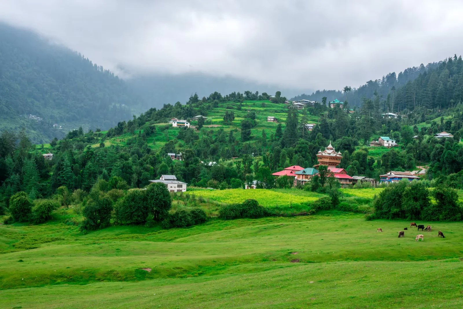 Heaven Himachal Tour Package