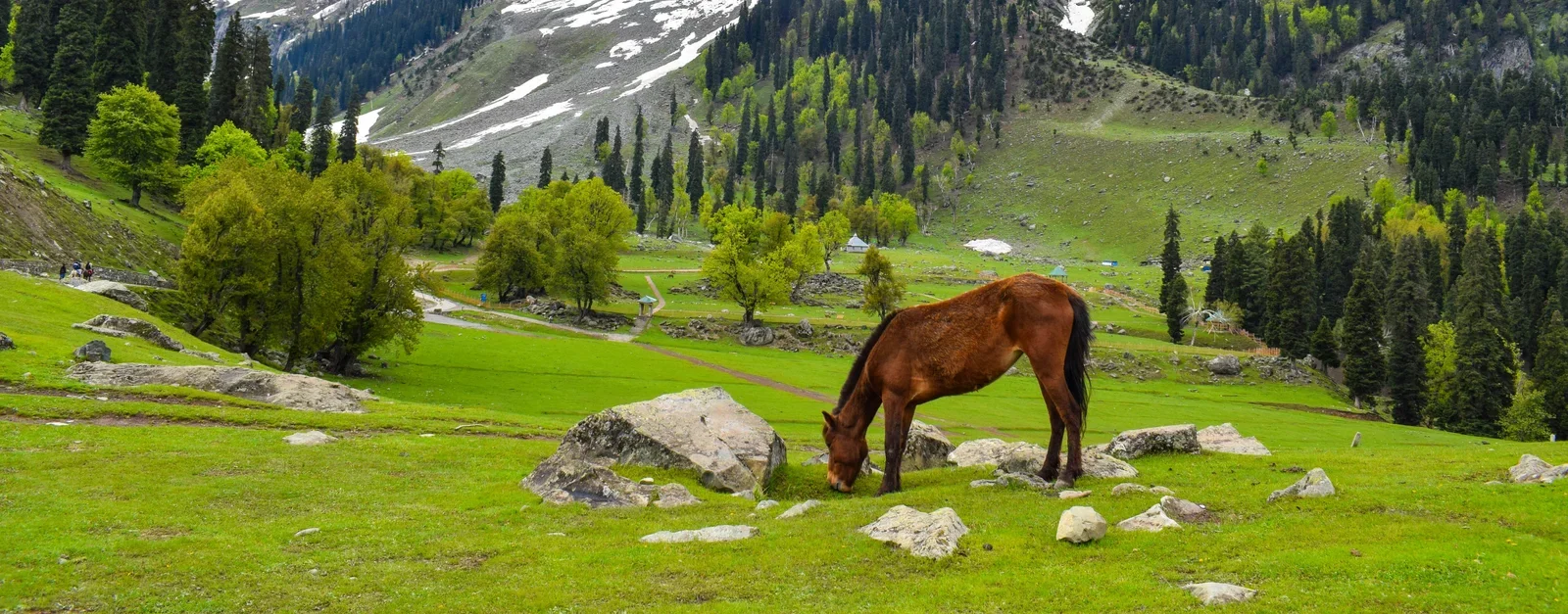 Uncover Kashmir | Journey to Nature Paradise