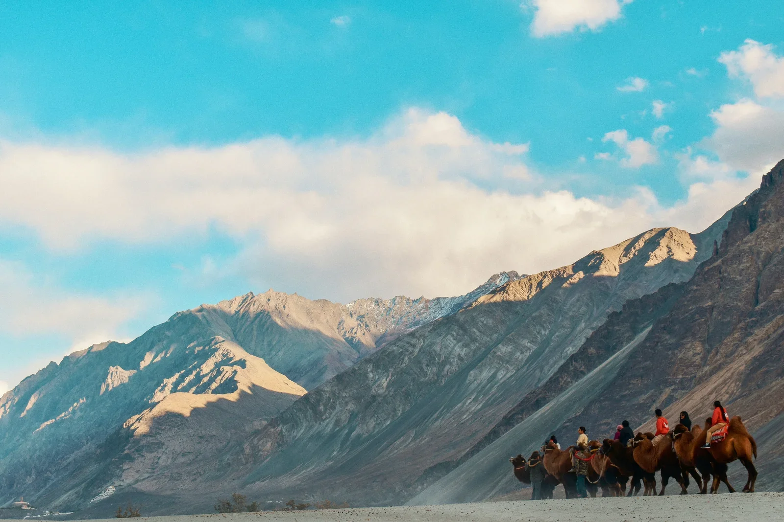 Leh Ladakh with Pangong Lake Tour