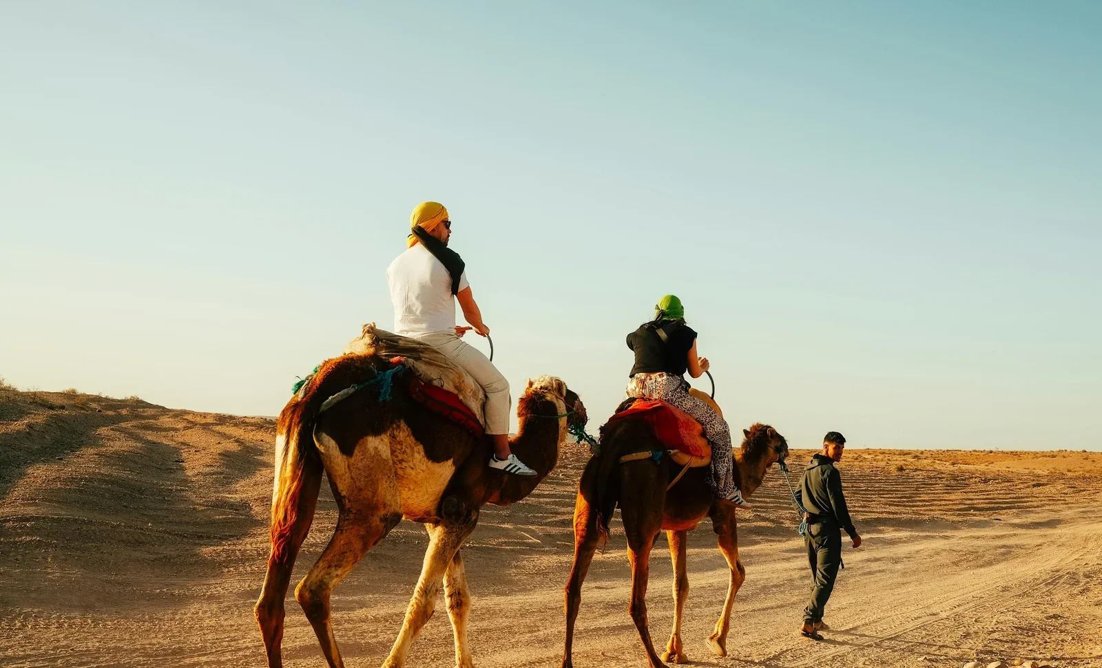 Deserts Of Rajasthan With Bikaner